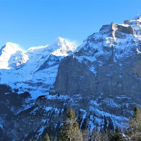 Raufthubel By Interhome Mürren