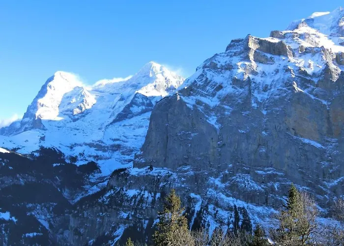 Raufthubel By Interhome Mürren